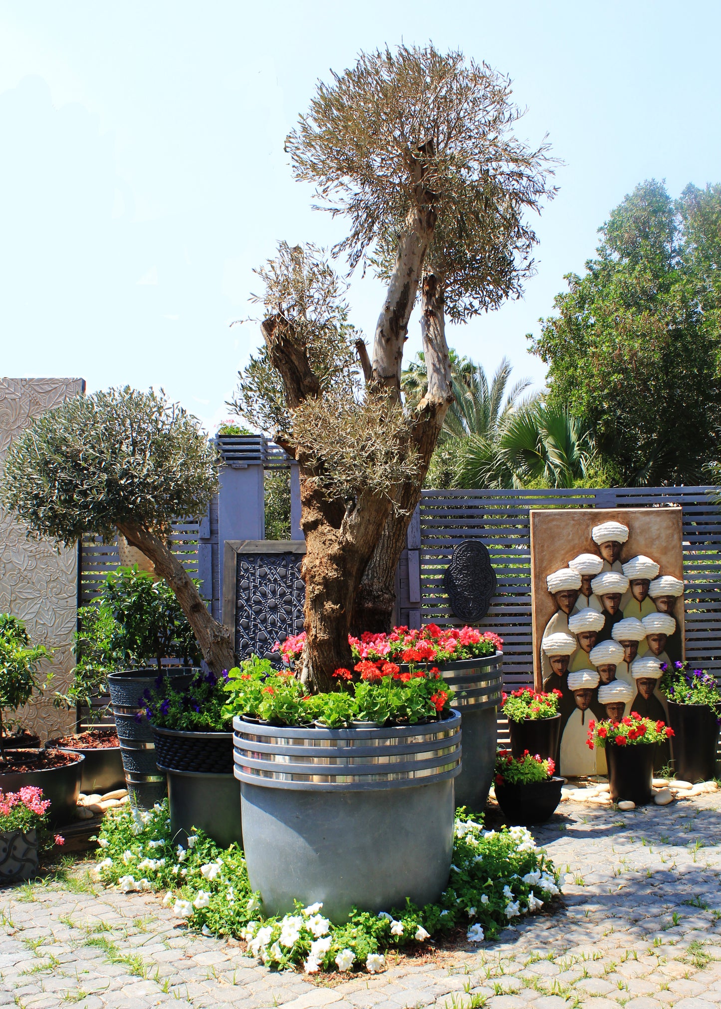 Eclipse Pots