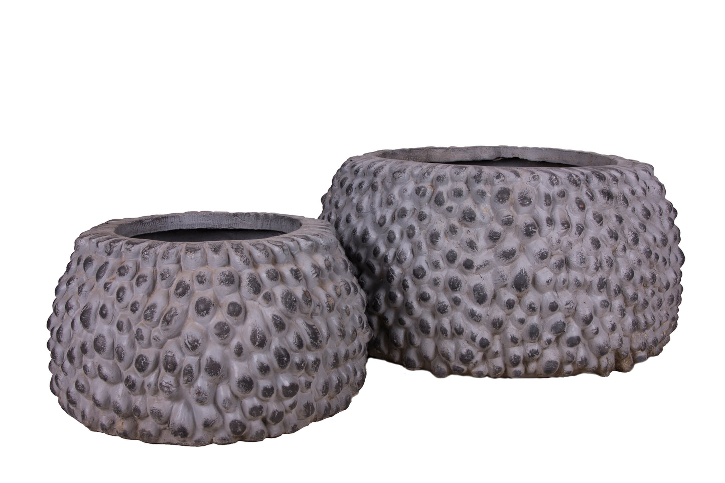 The Jurassic Era Pot