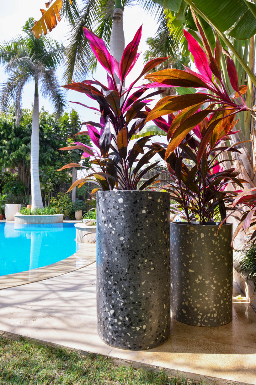 Cylinder Midnight Terrazzo