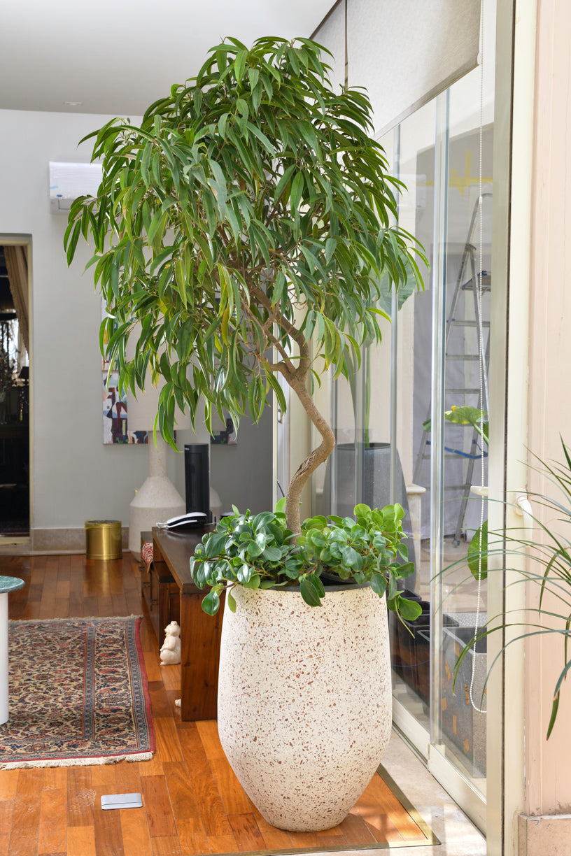 Neutral Terrazzo