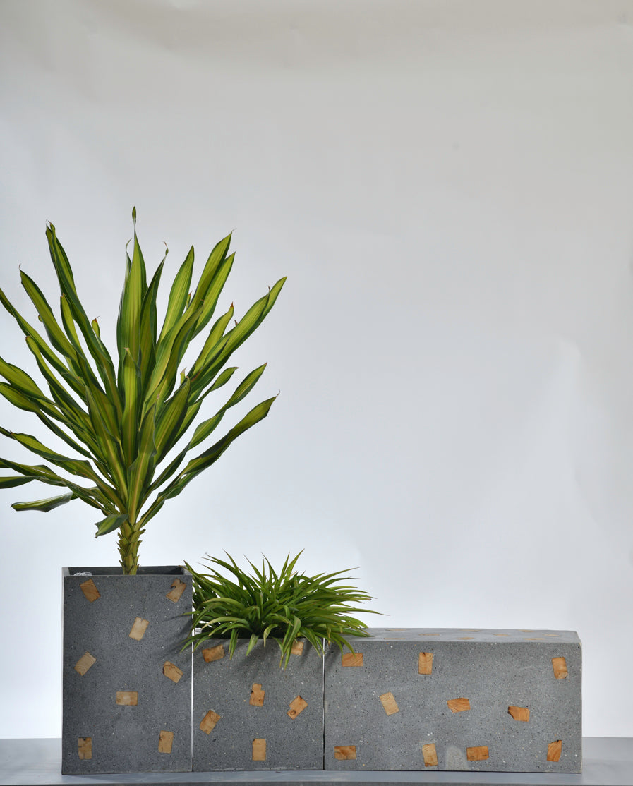 Grey woody Bench