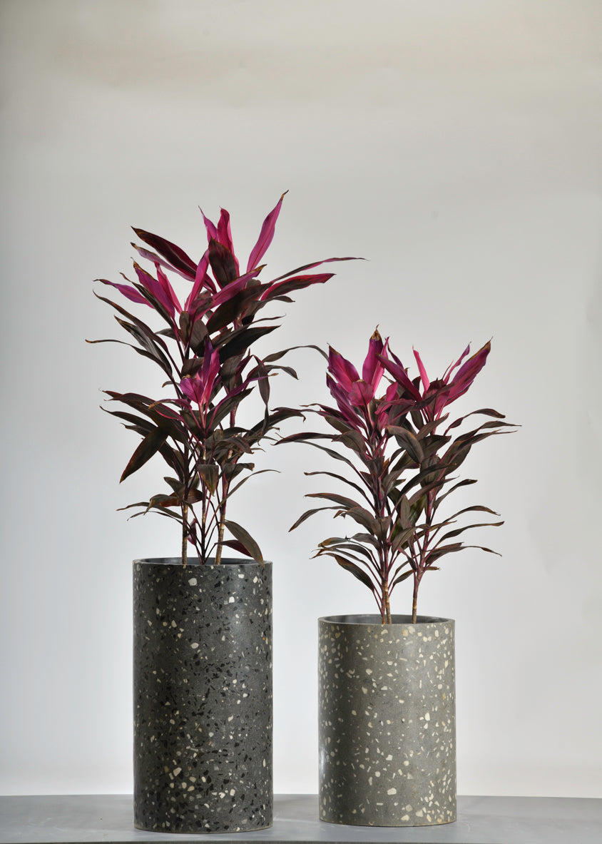 Cylinder Midnight Terrazzo