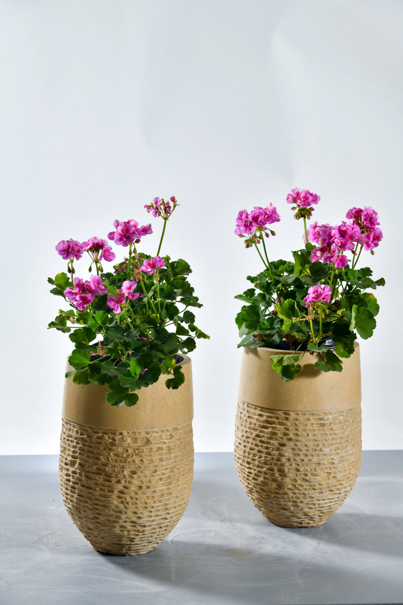 Engraved pots