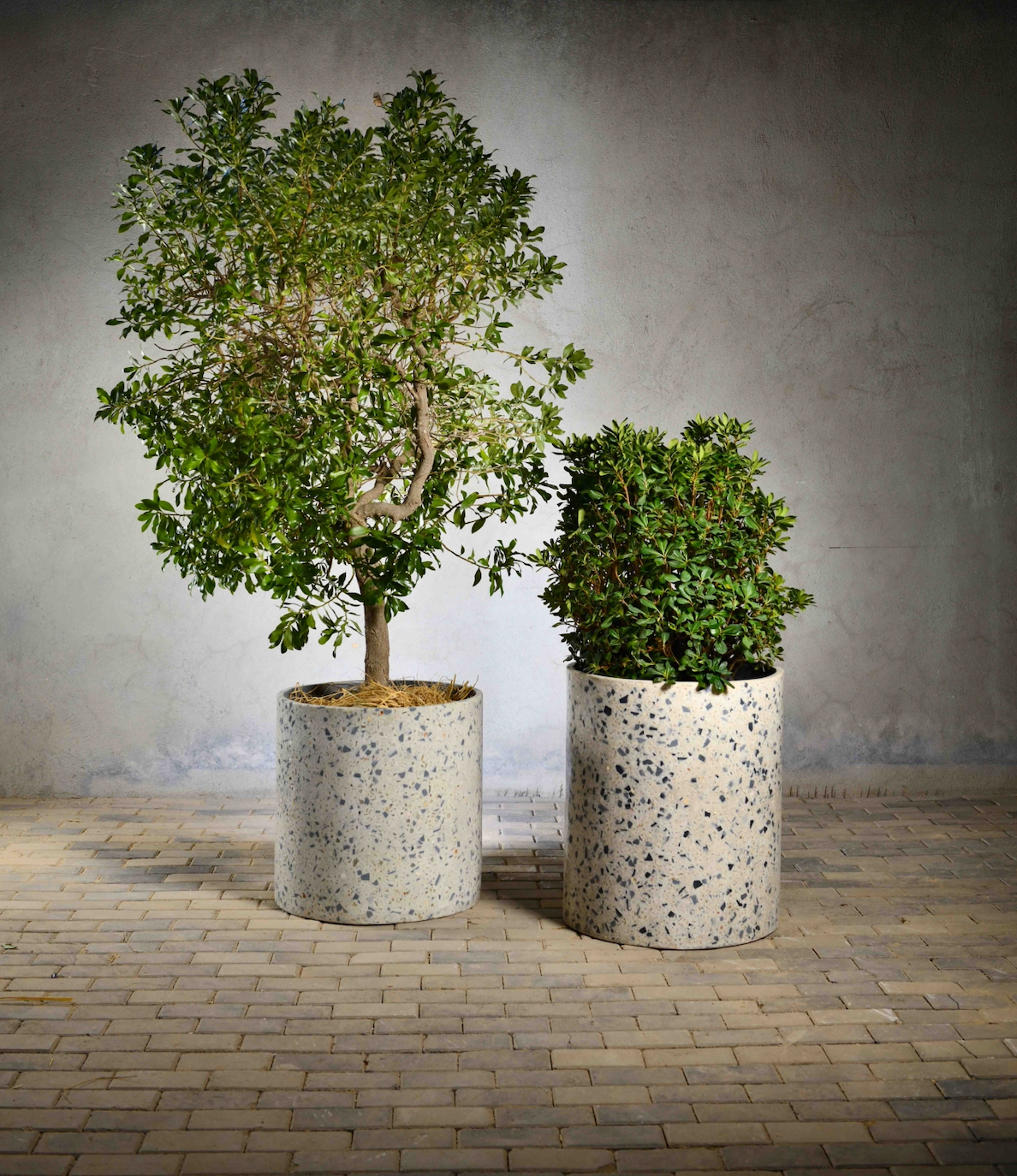 Azzure Terrazzo Planters