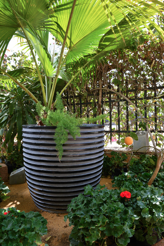 Spiral Pot