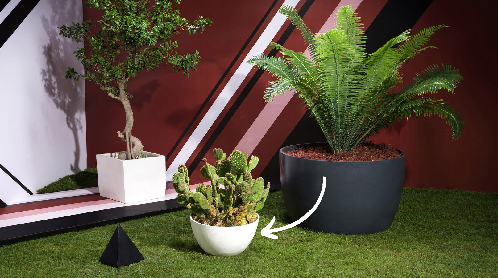 Pot Rox Lariox Pot – Rocks and pots