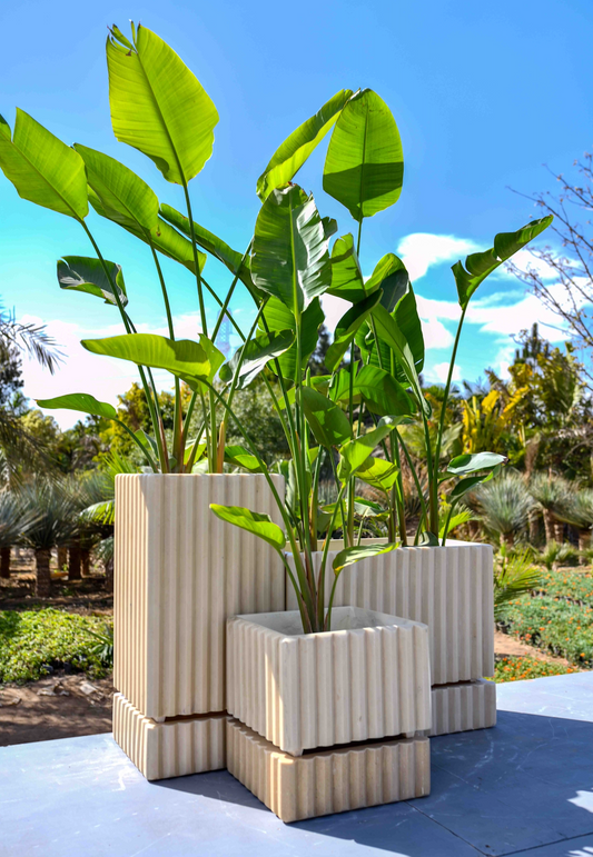 Aura Planters