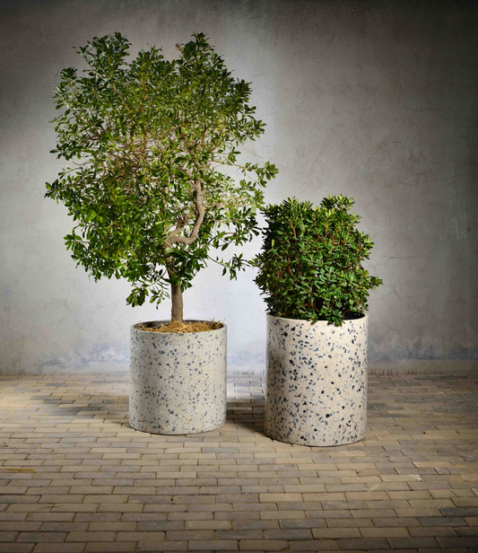 Azzure  Terrazzo Planters