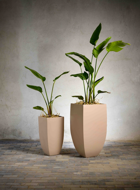 Amara Planters